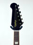 Epiphone Firebird, Red Wine