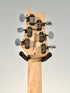 PRS SE Silver Sky, Nylon Blue