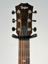 Taylor GT Urban Ash (Trade In)