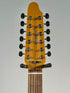 Squier Paranormal Troy Van Leeuwen Telecaster XII, Copper