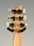 PRS CE 24 Sprayer's Choice, Sparkle Top
