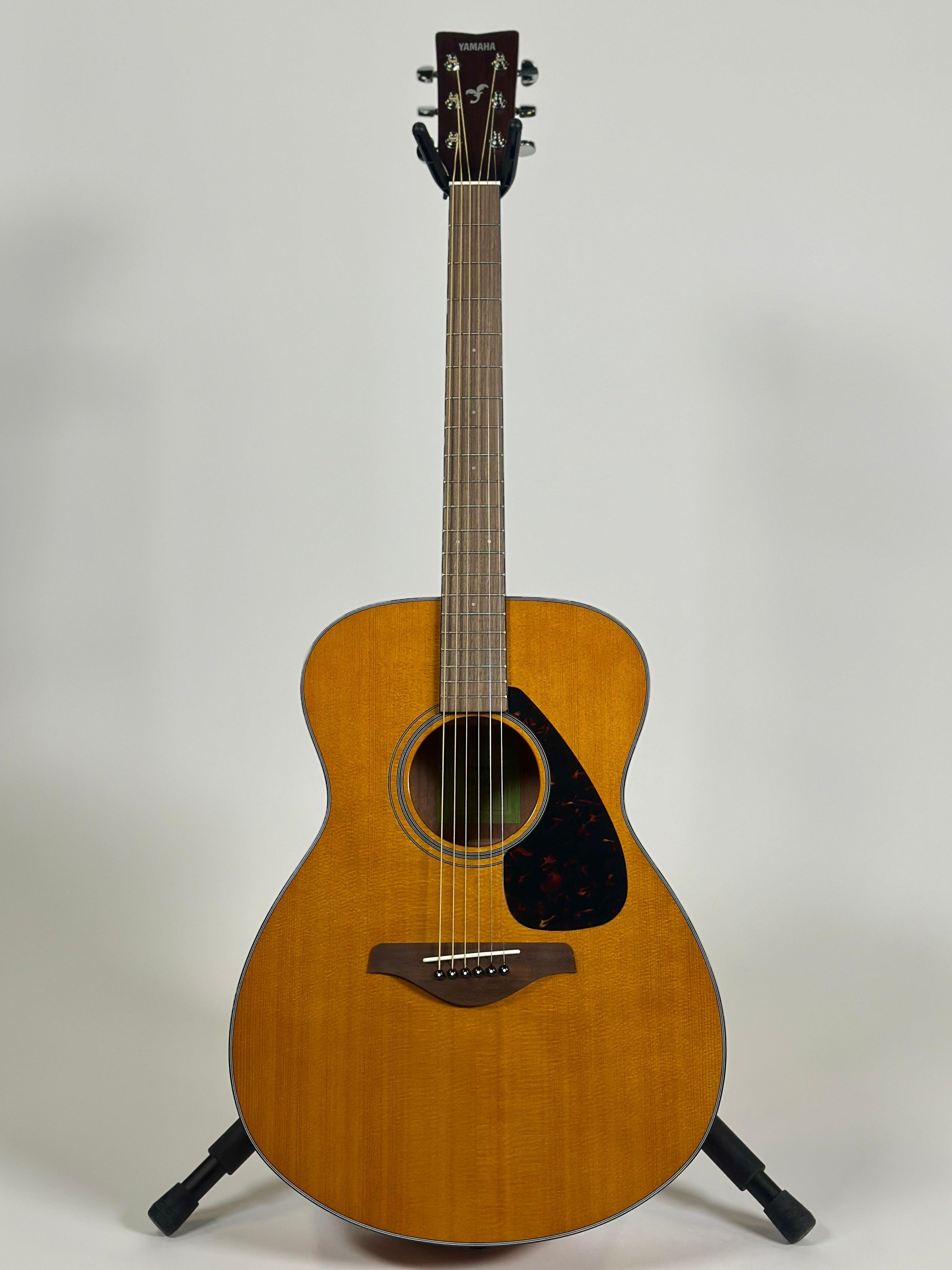 Yamaha FS800, Tinted