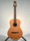 Godin Concert (Trade In)