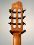 Godin Multiac Mundial, Kanyon Burst (Trade In)
