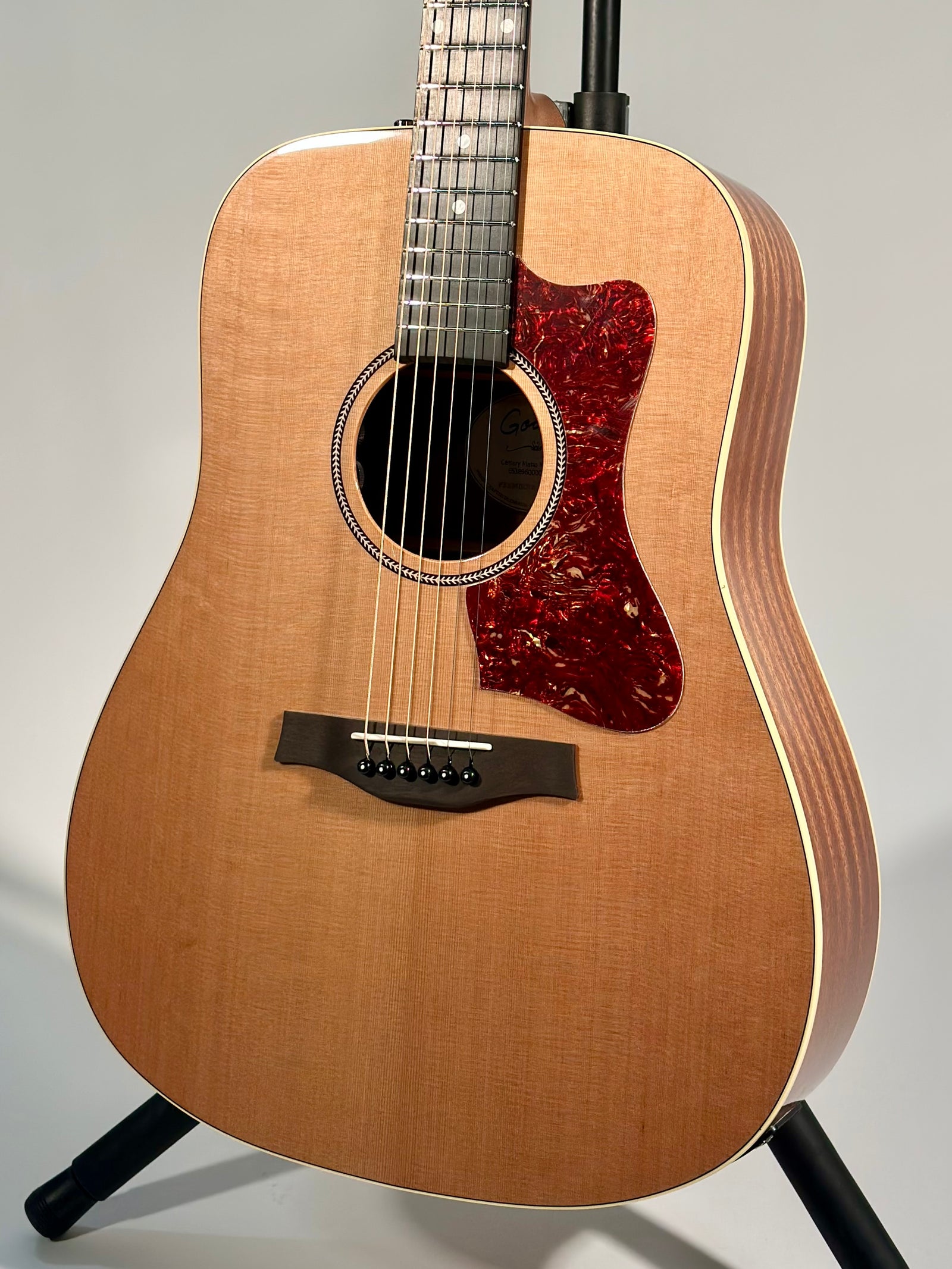 Godin Century Maho, Natural EQ