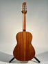 Godin Concert (Trade In)