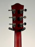 Godin 5th Avenue Uptown T-Armond Havana Burst