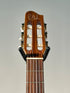 Godin Concert (Trade In)