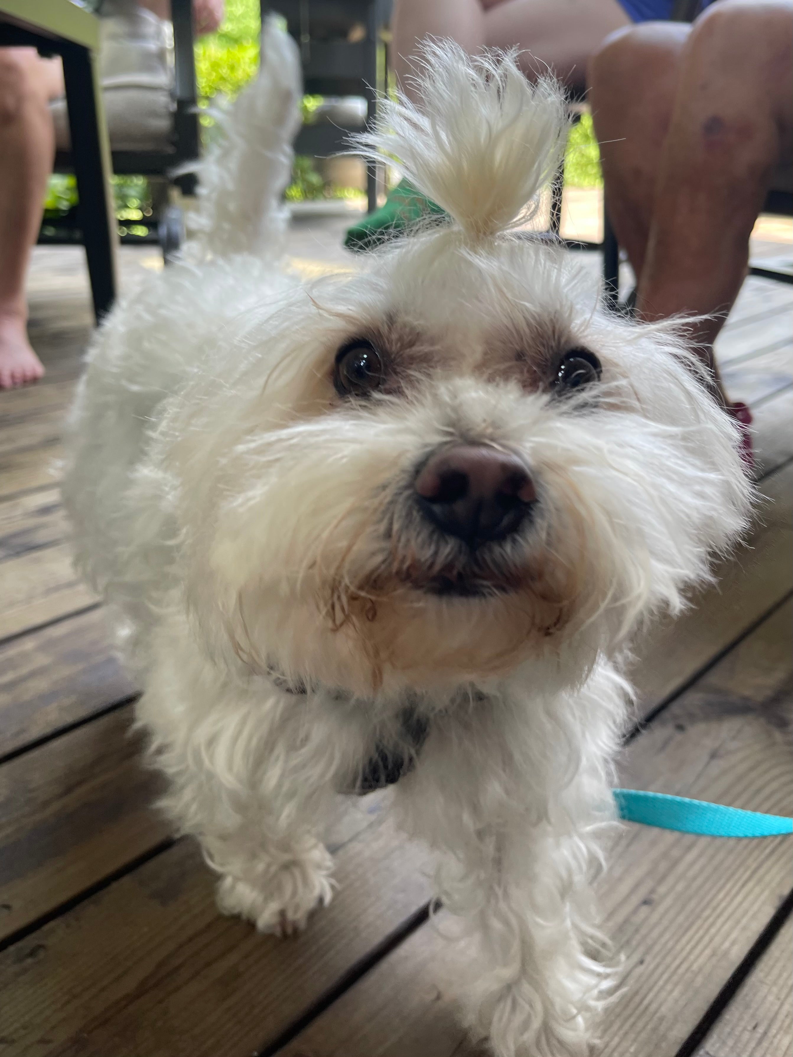 Allen & Heath ZED10 (Used)