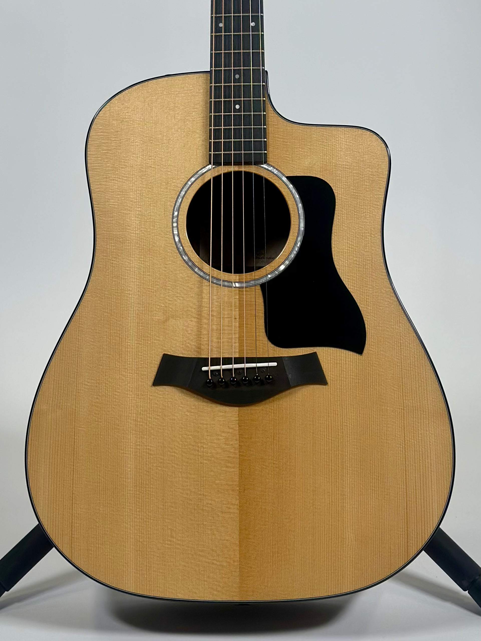Taylor 210ce Plus, Torrefied Spruce/Rosewood