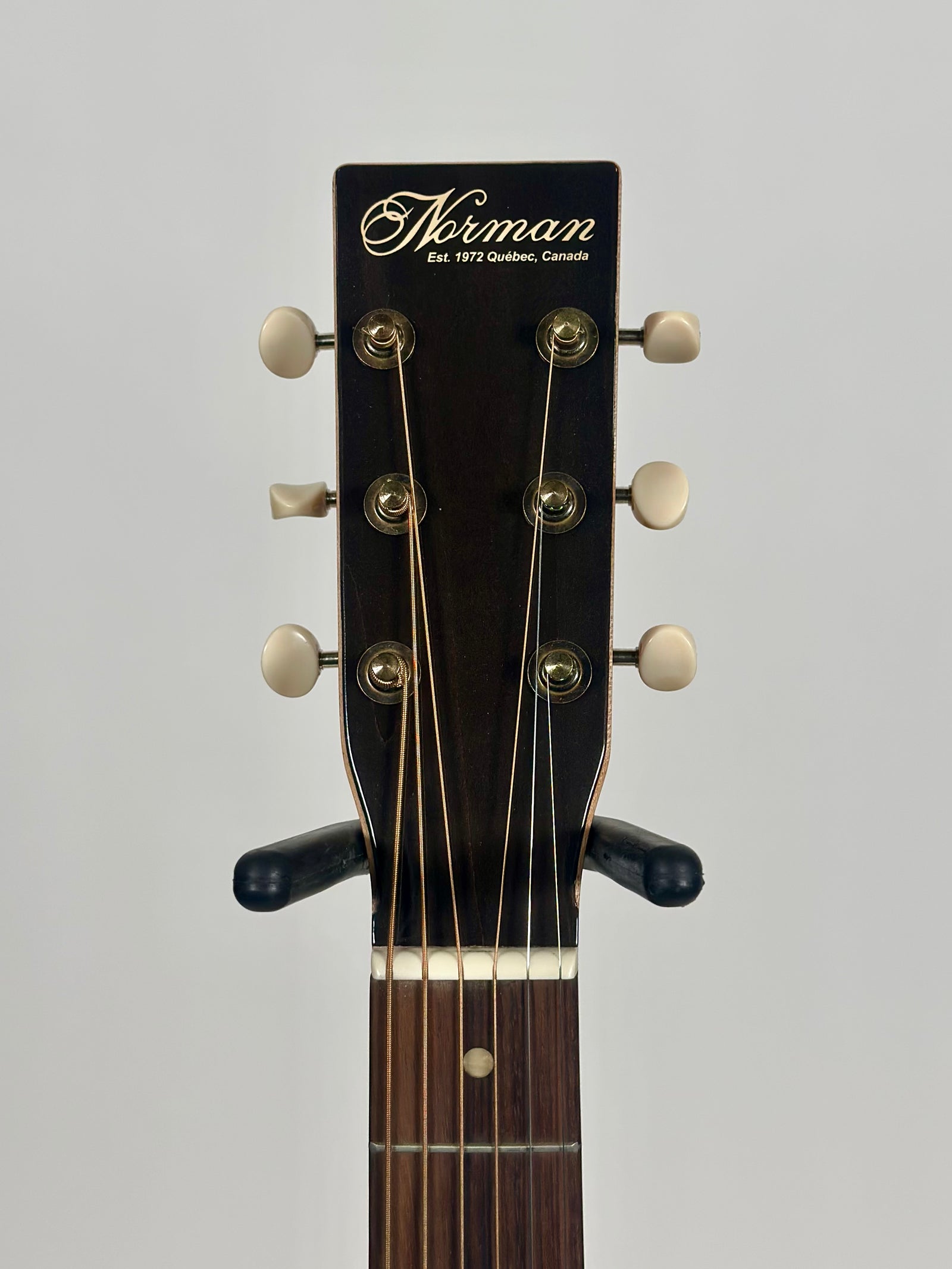 Norman B20, Natural GT, Presys II