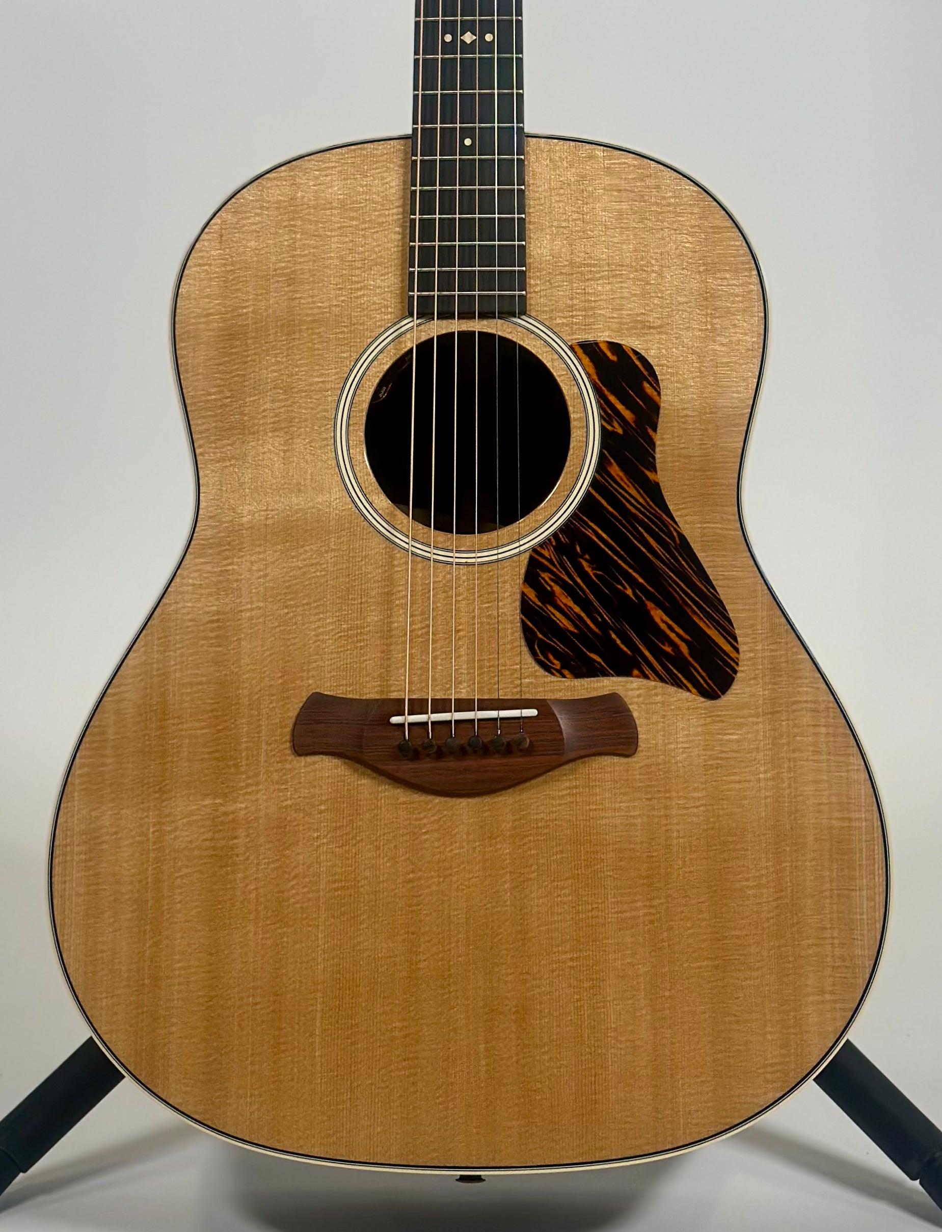 Taylor Gold Label 717e, Torrefied Spruce, Indian Rosewood