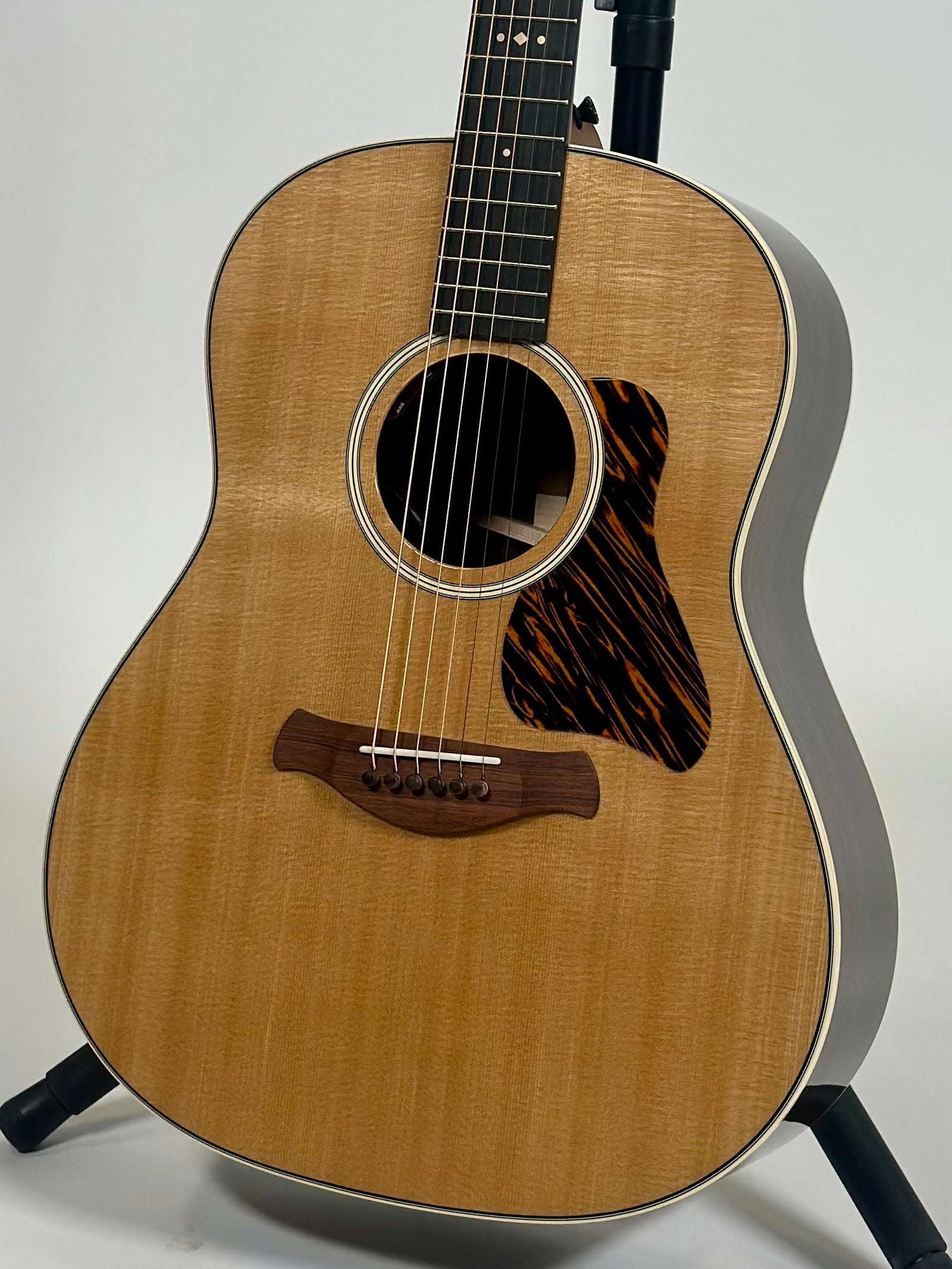 Taylor Gold Label 717e, Torrefied Spruce, Indian Rosewood
