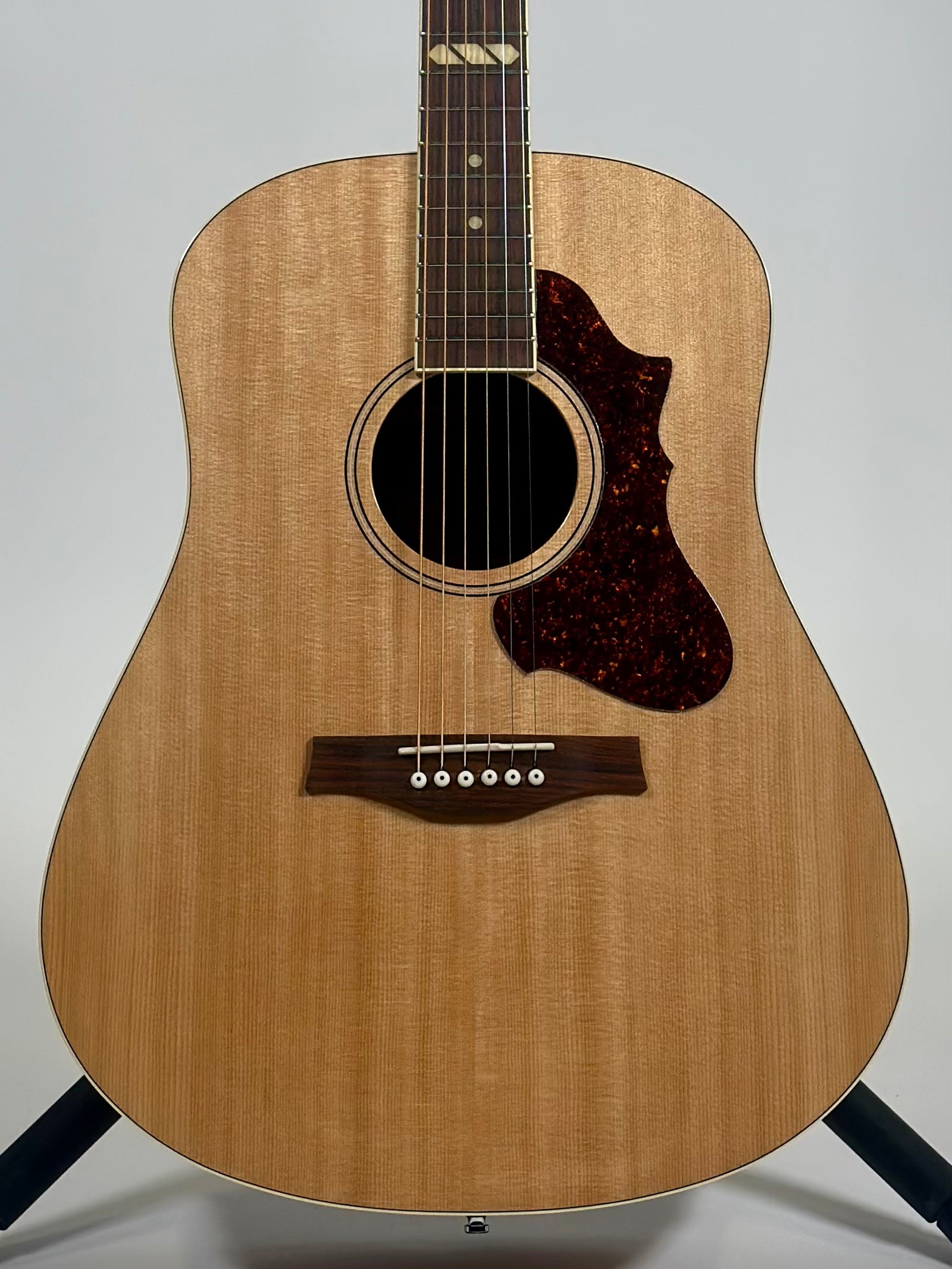 Godin Metropolis, Natural RN GT, EQ