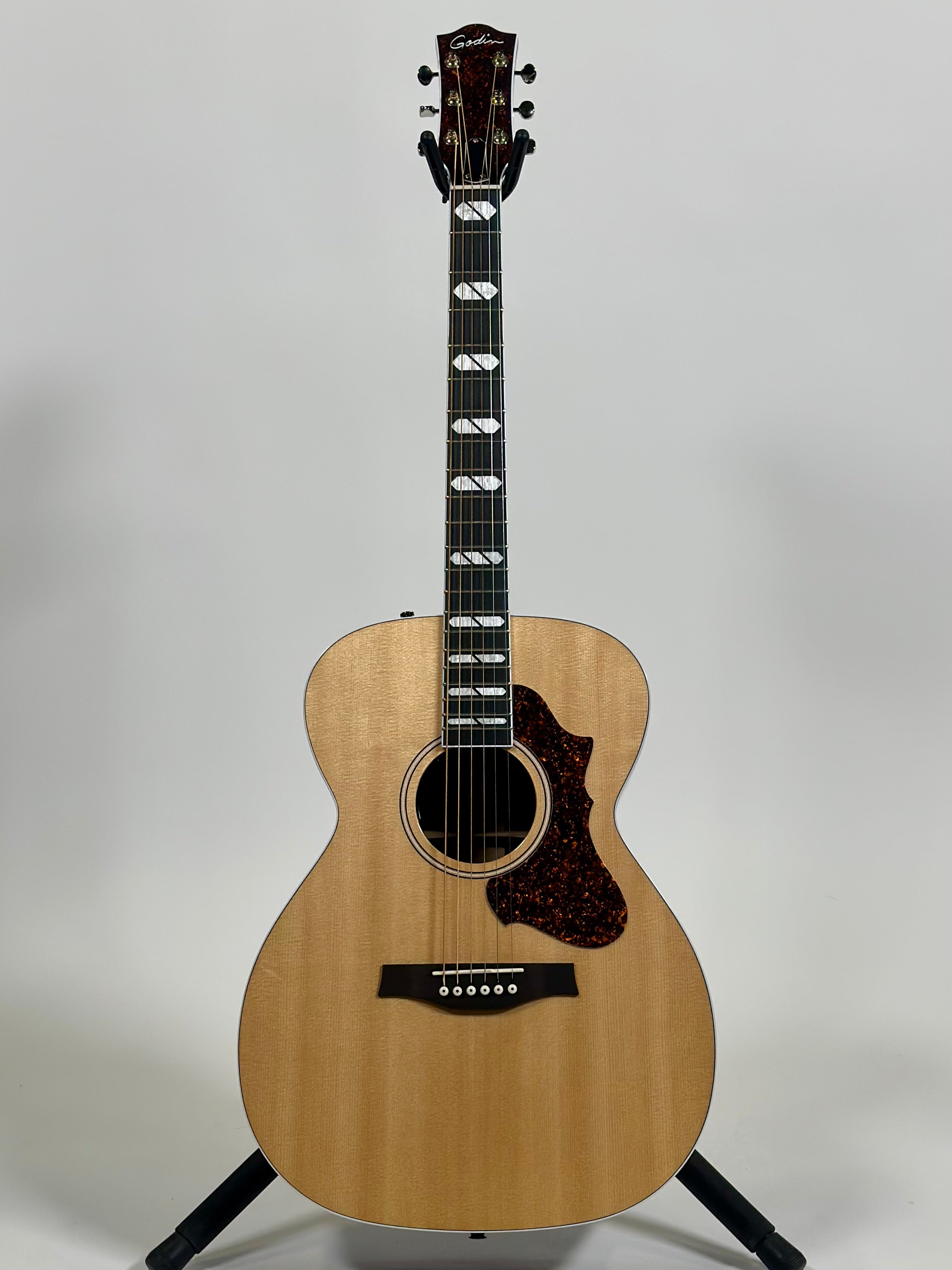 Godin Fairmount Concert Hall LTD, Rosewood HG, EQ