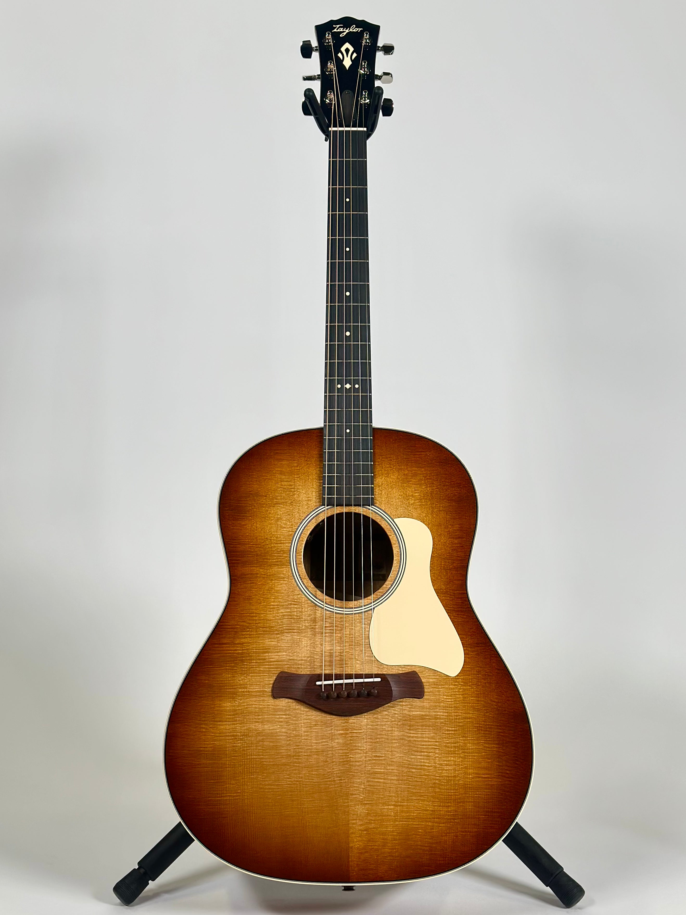 Taylor Gold Label 517e SB, Sunburst with Cream Pickguard, Torrefied Spruce, Neo-Tropical Mahogany