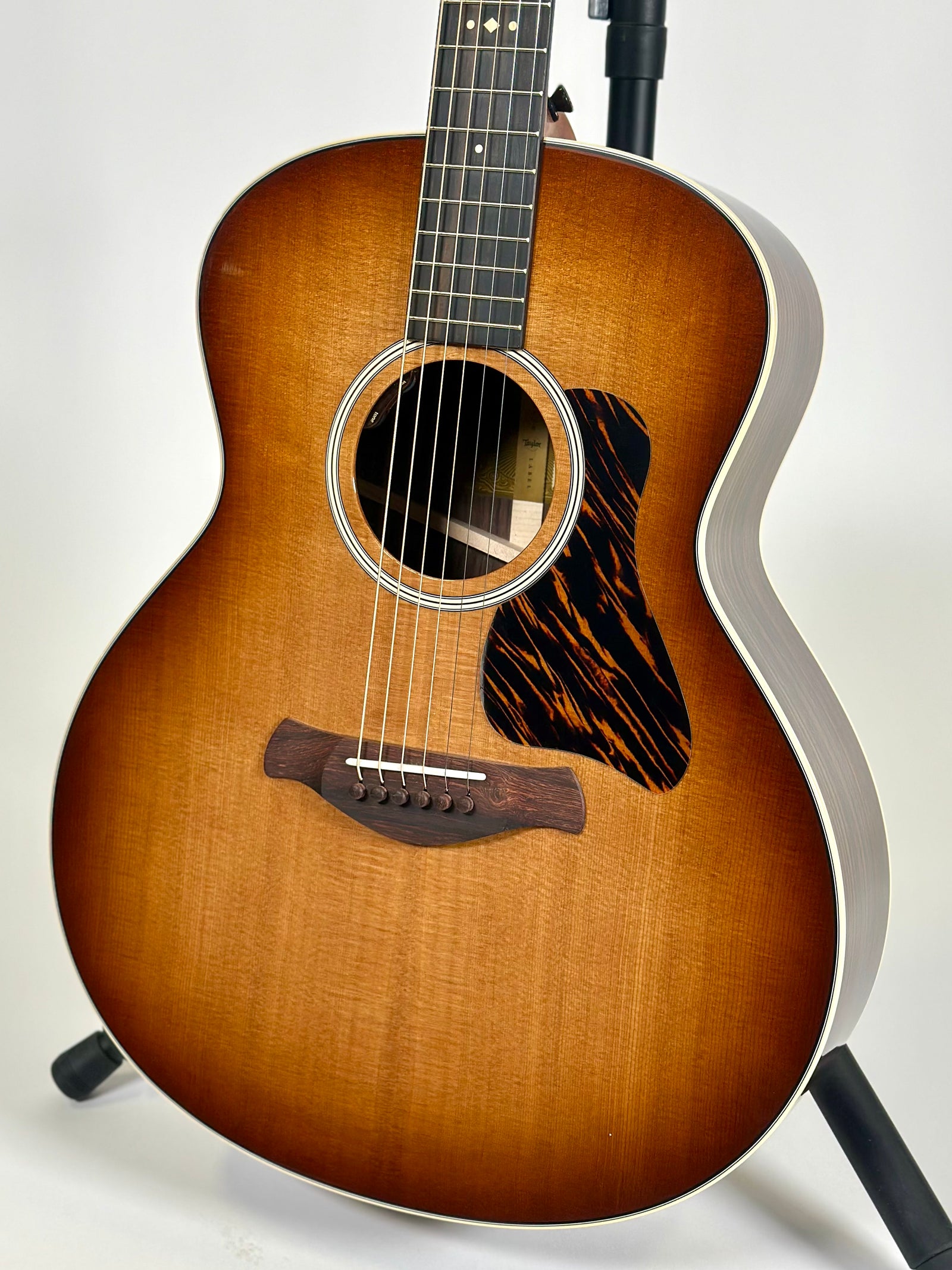Taylor Gold Label 714e SB, Sunburst with Firestripe Pickguard, Torrefied Spruce, Indian Rosewood