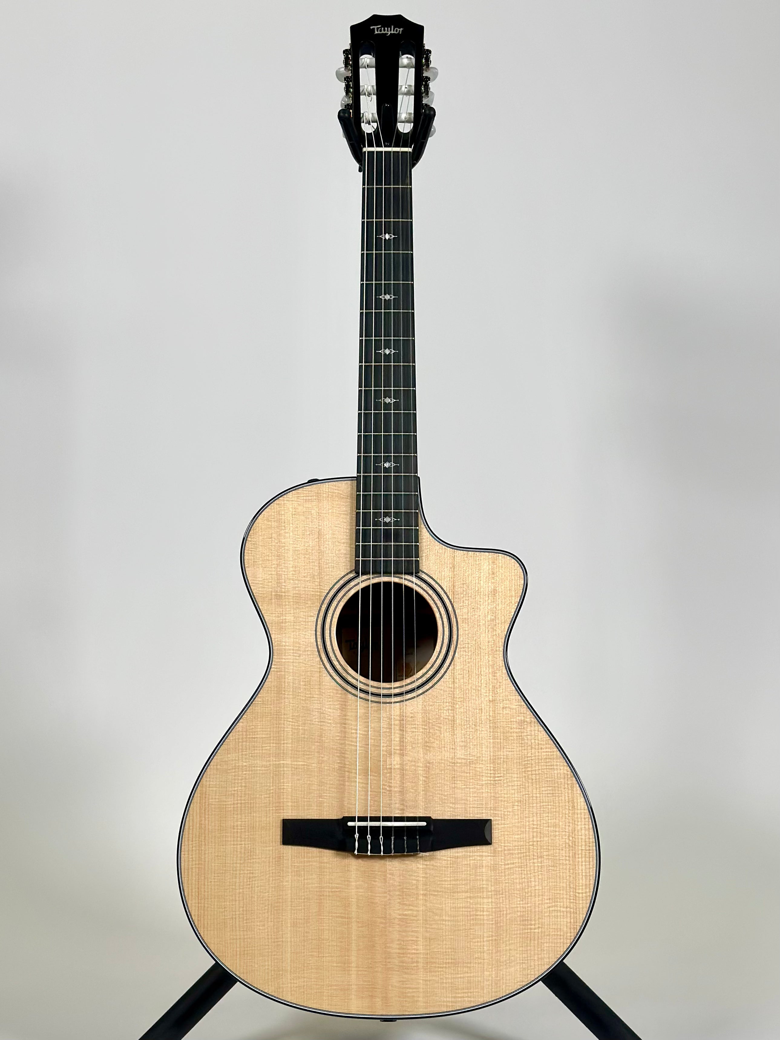 Taylor 312ce-N