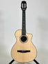 Taylor 312ce-N