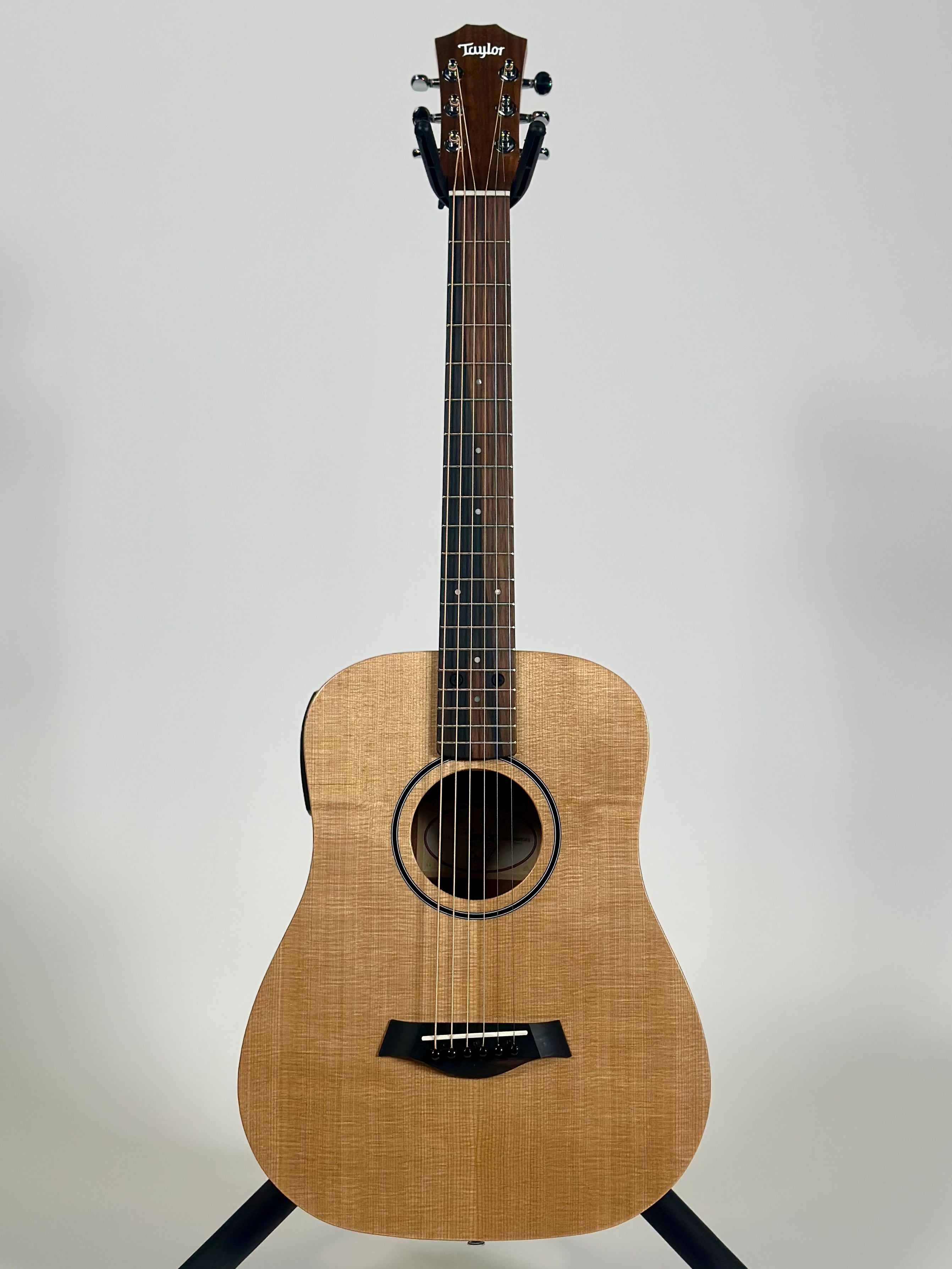 Taylor BT1e, Spruce/Walnut
