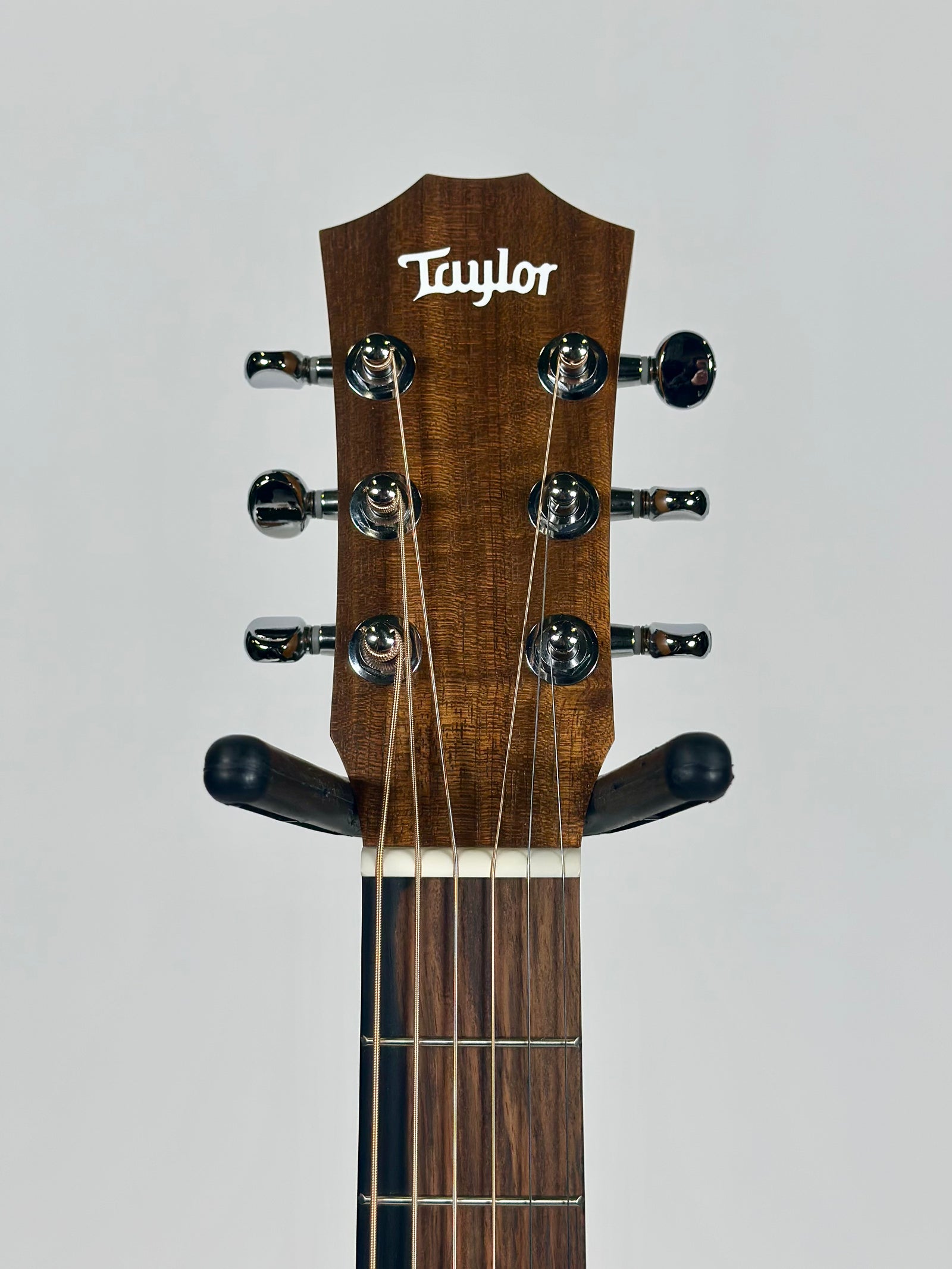 Taylor BT1e, Spruce/Walnut
