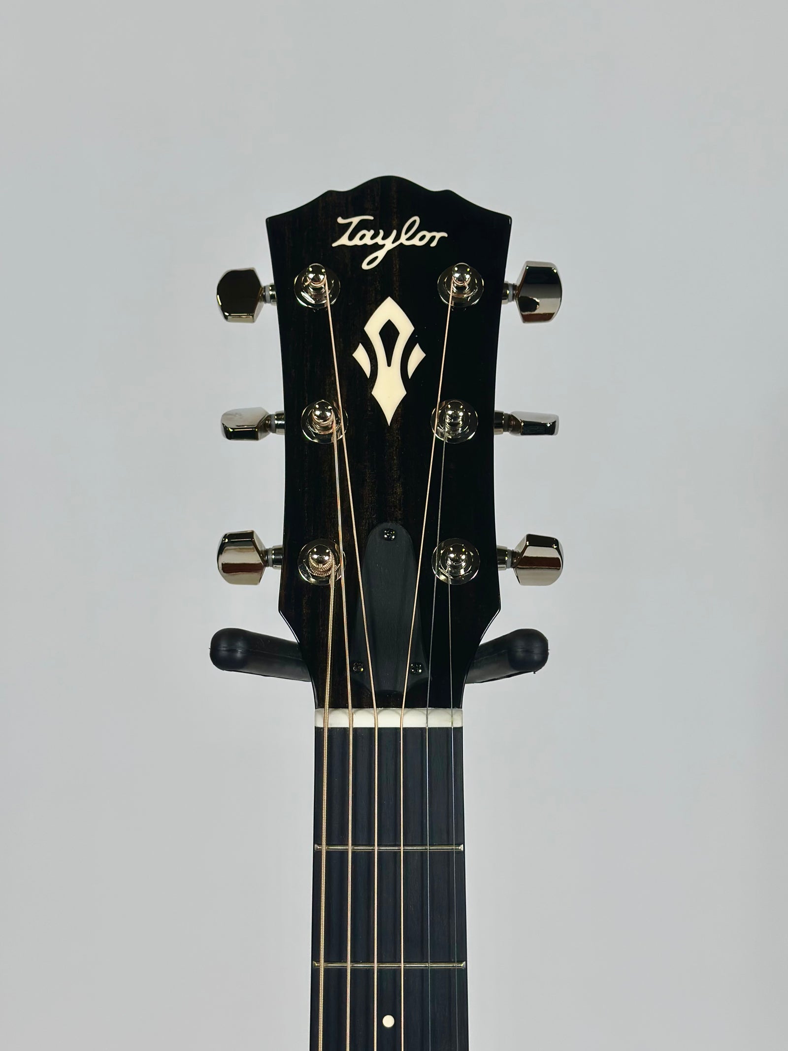 Taylor Gold Label 510e, Torrefied Spruce, Mahogany