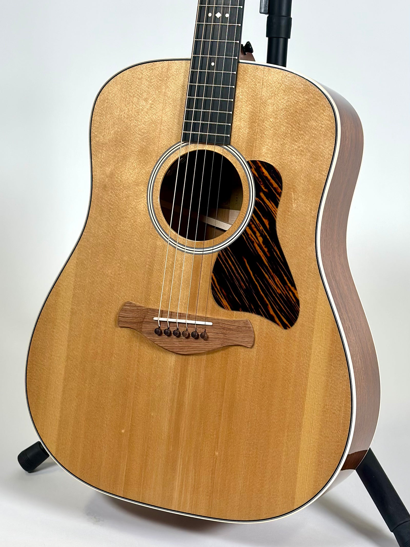 Taylor Gold Label 510e, Torrefied Spruce, Mahogany