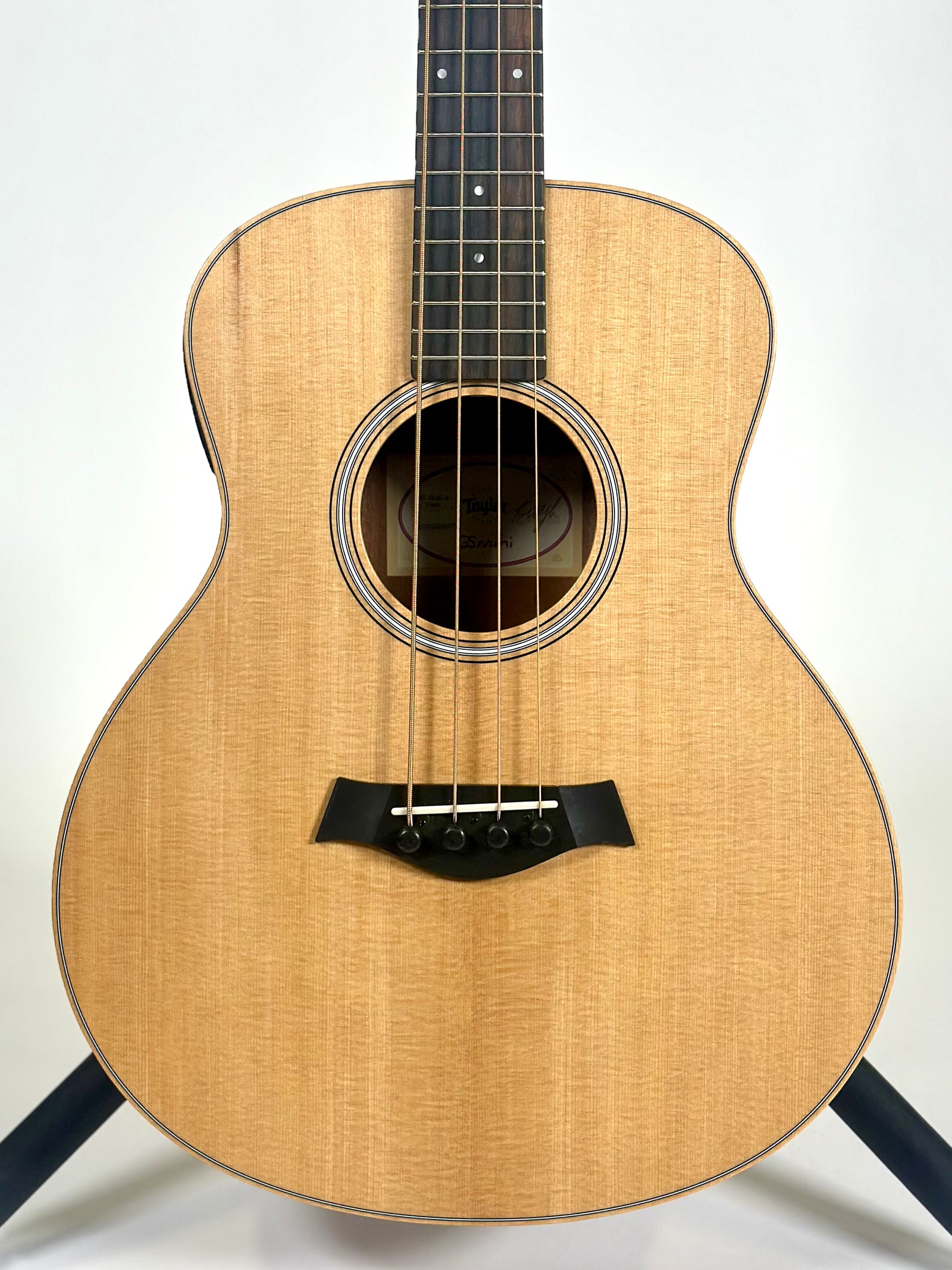 Taylor GS Mini-e Sapele Bass