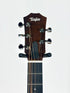 Taylor Jacob Collier Signature Model GS Mini 5-String