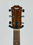 Taylor Academy 12e, Spruce/Walnut