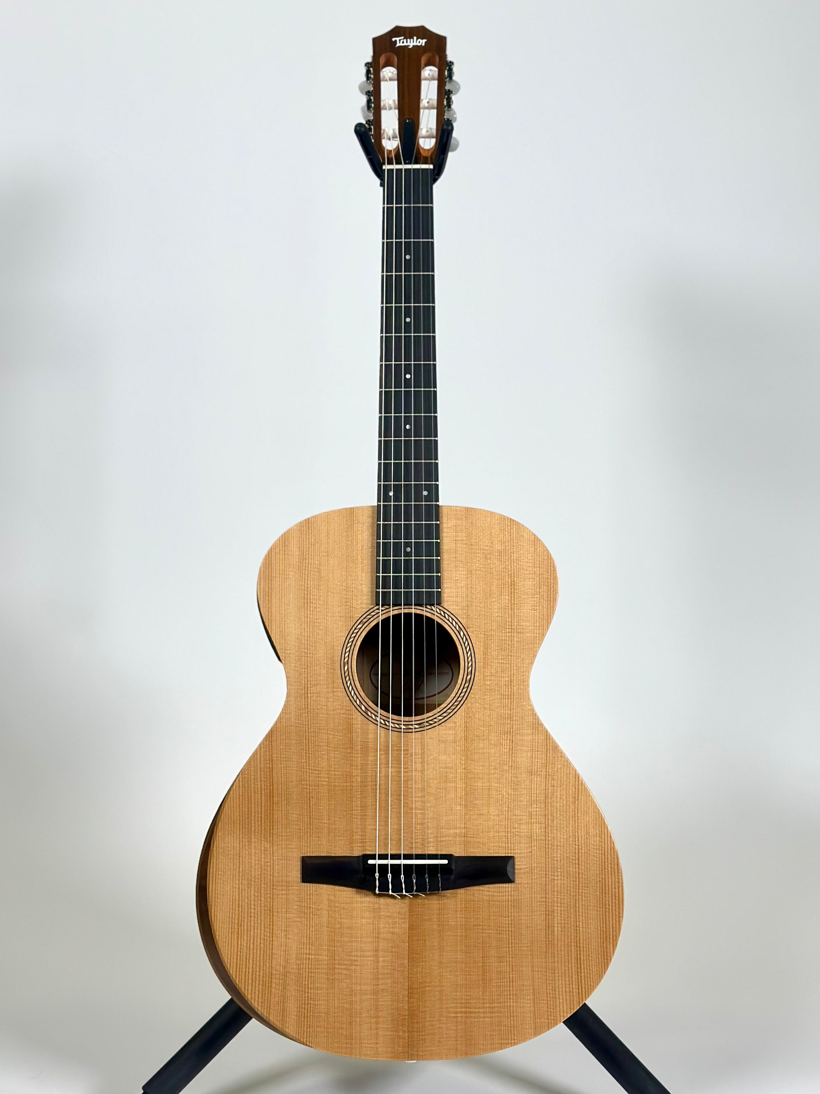 Taylor Academy 12e-N, Spruce/Walnut