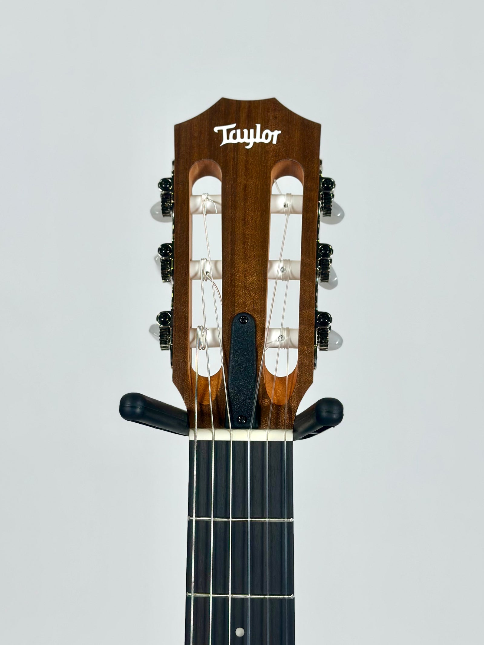 Taylor Academy 12e-N, Spruce/Walnut
