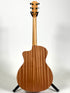 Taylor 24ce, Mahogany/Sapele