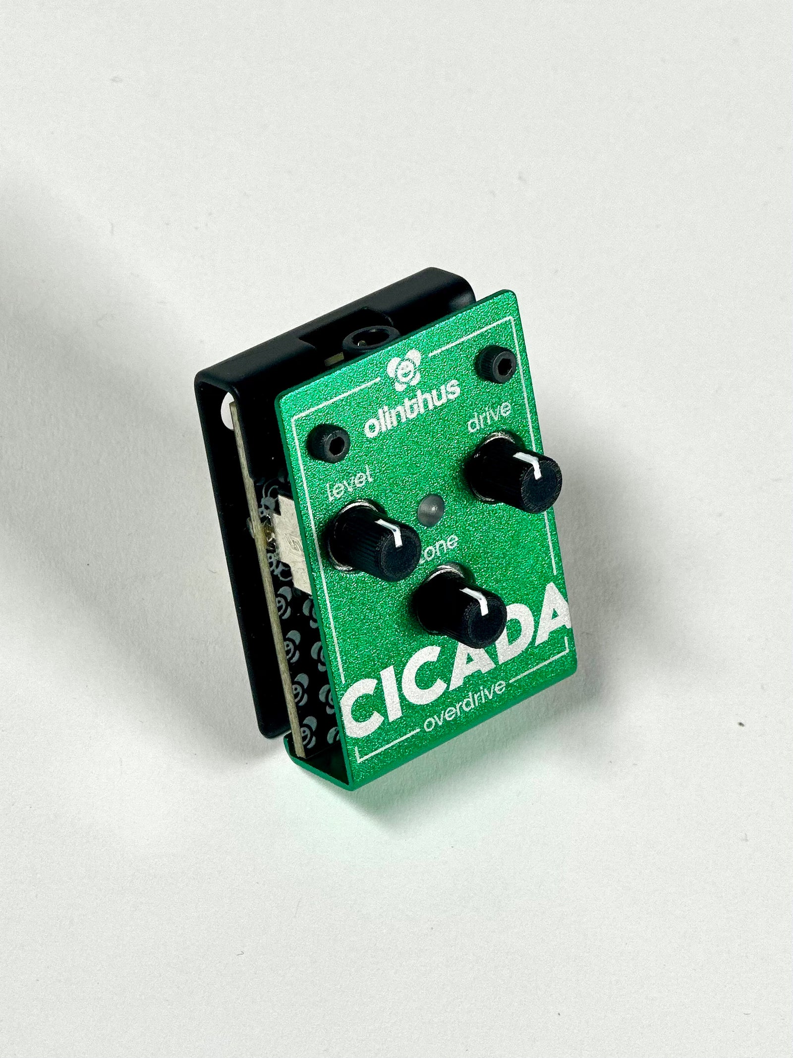 Olinthus Cicada Miniature Overdrive