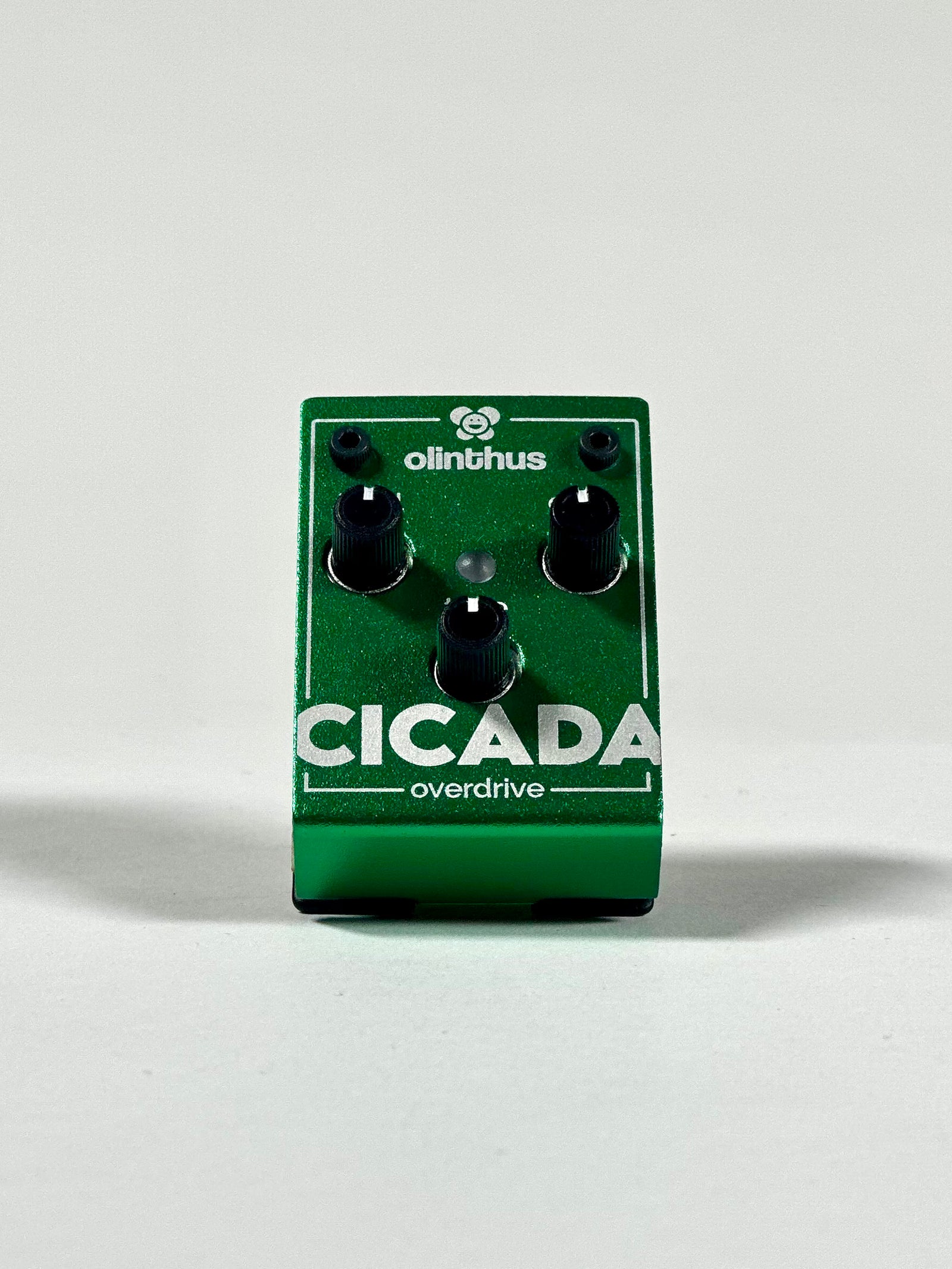 Olinthus Cicada Miniature Overdrive