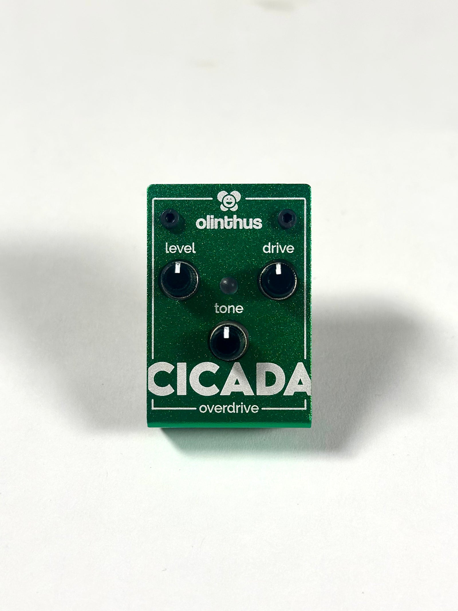 Olinthus Cicada Miniature Overdrive
