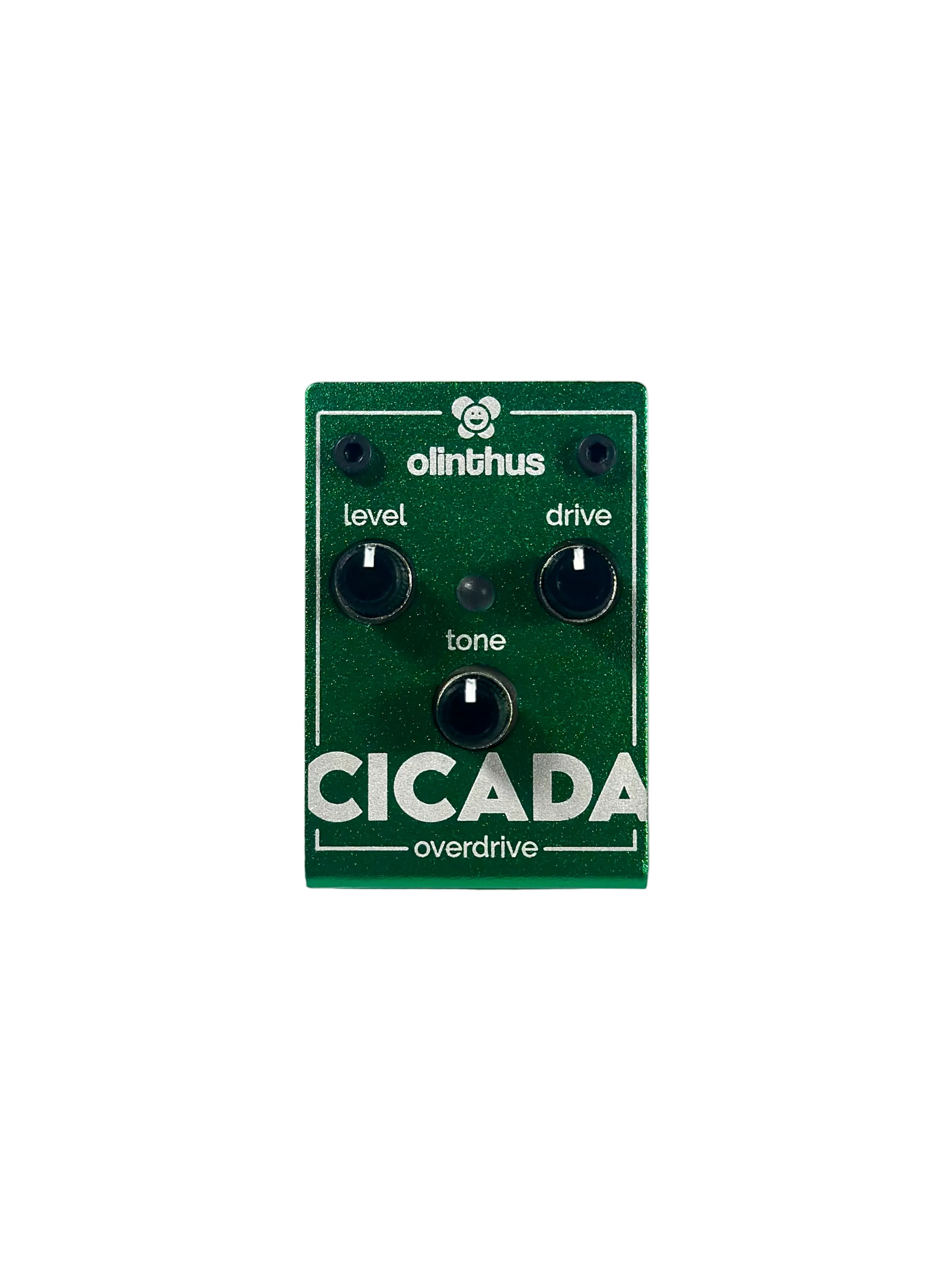 Olinthus Cicada Miniature Overdrive