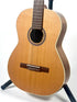 Godin Concert Clasica II