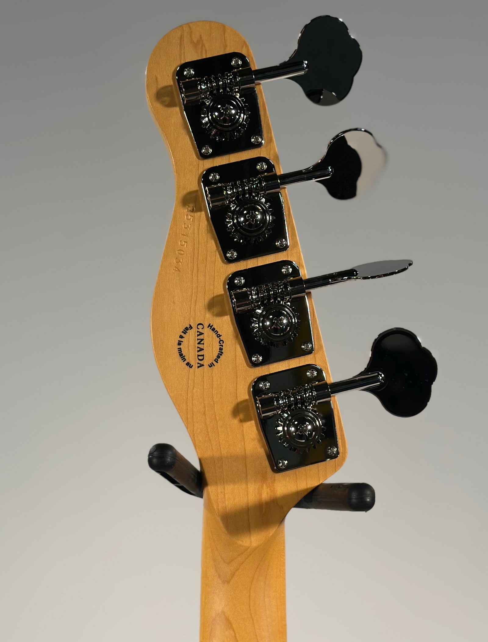 Godin Passion RG-4, Swamp Ash