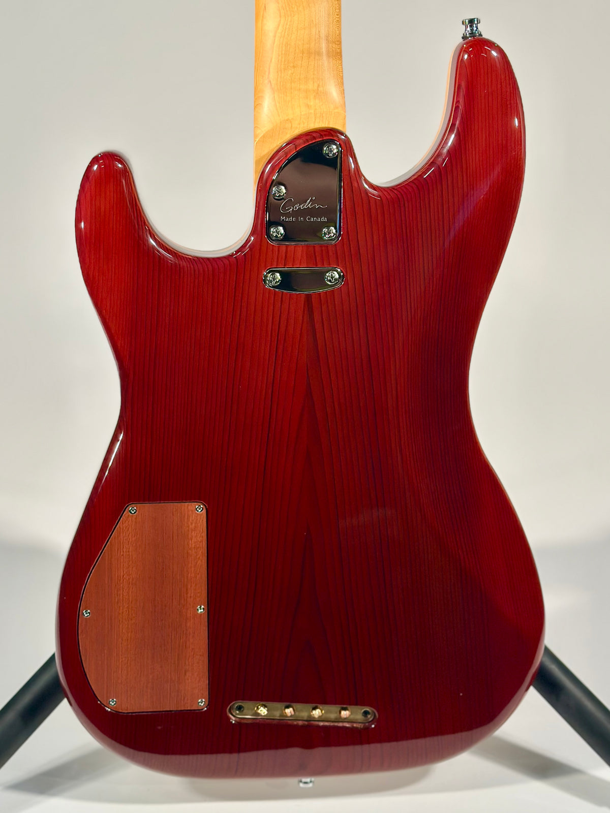 Godin Passion RG-4, Swamp Ash