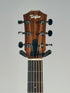 Taylor GS Mini, Sapele/Spruce, Left-Handed