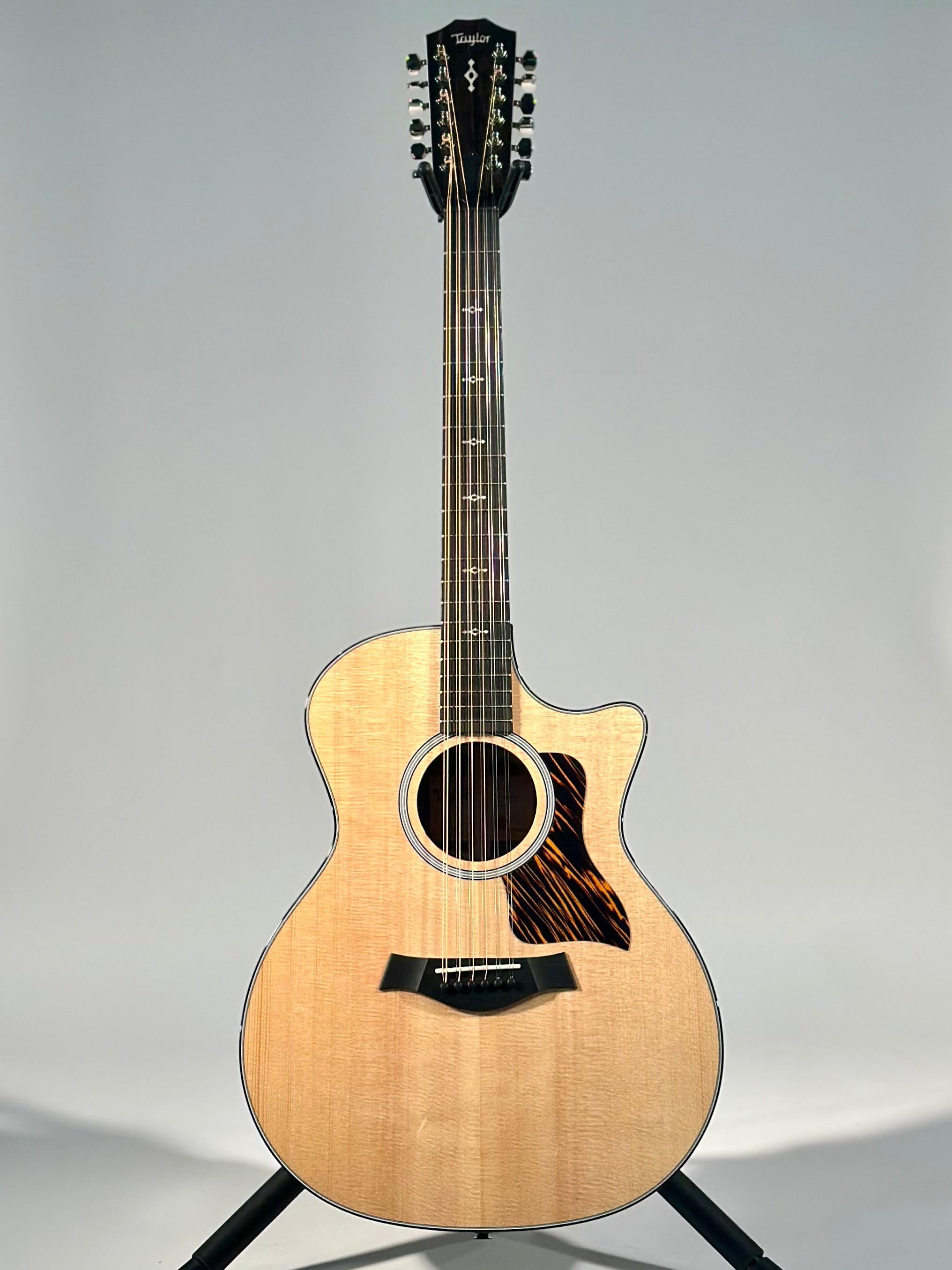 Taylor Next Generation 454ce, Spruce/Indian Rosewood