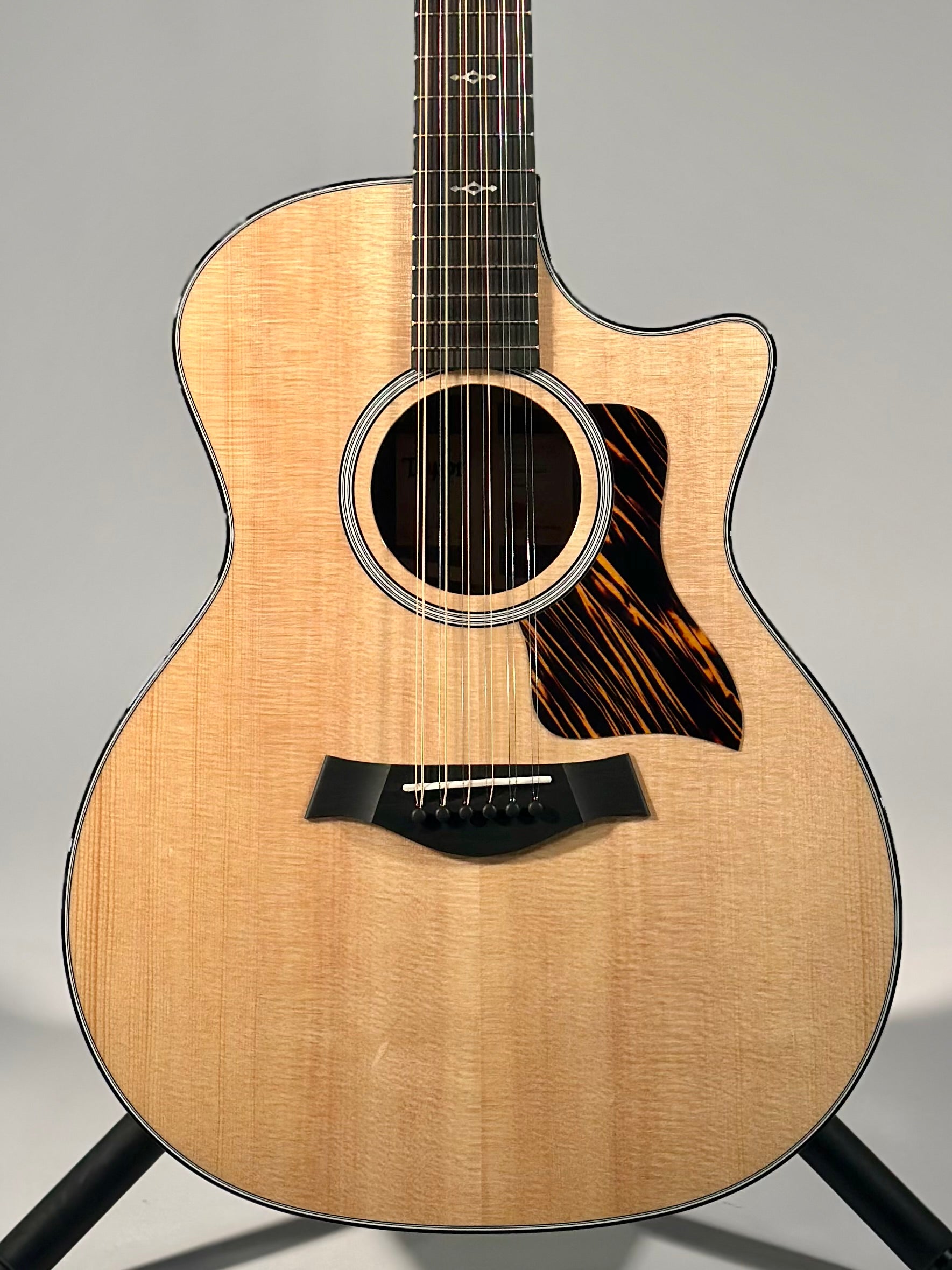 Taylor Next Generation 454ce, Spruce/Indian Rosewood