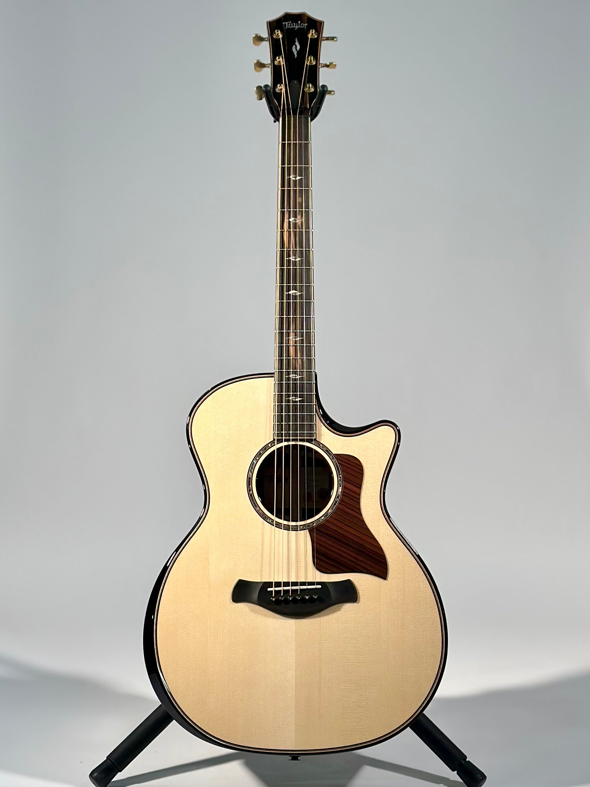 Taylor Next Generation Builder's Edition 814ce, Indian Rosewood/Adirondack Spruce