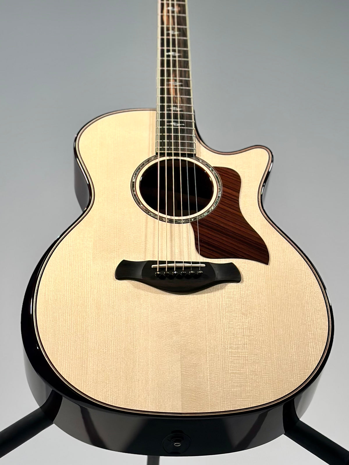 Taylor Next Generation Builder's Edition 814ce, Indian Rosewood/Adirondack Spruce
