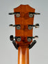 Taylor Next Generation 614ce, Spruce/Big Leaf Maple