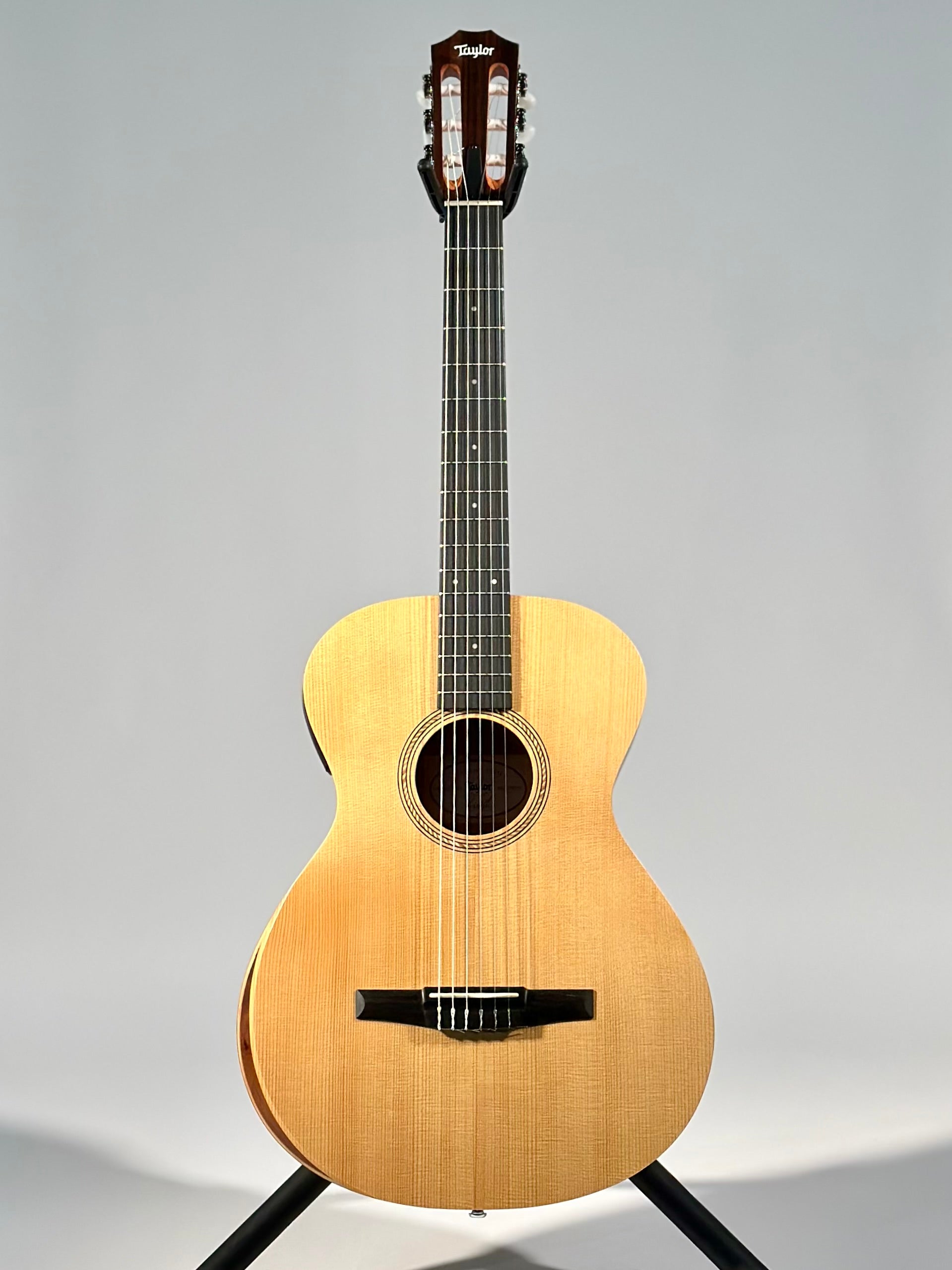 Taylor Academy 12e-N, Spruce/Walnut