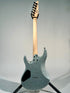 Sire Larry Carlton Y5, Silver Sparkle