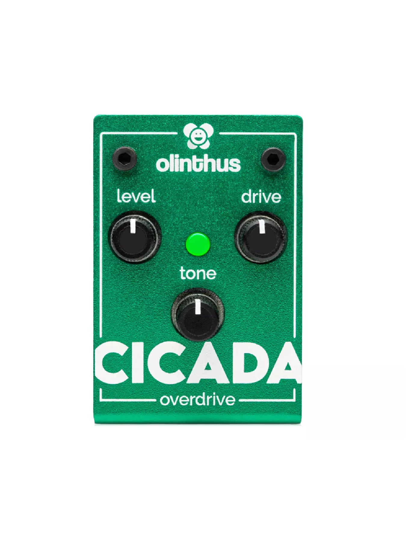 Olinthus Cicada Miniature Overdrive