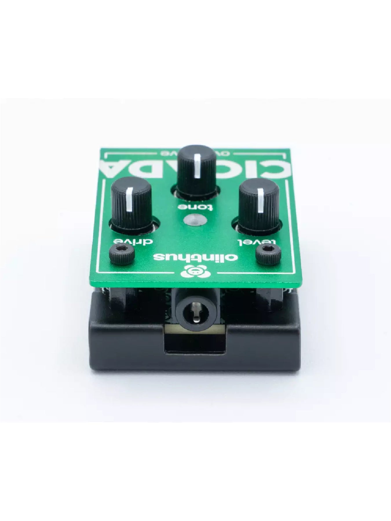 Olinthus Cicada Miniature Overdrive